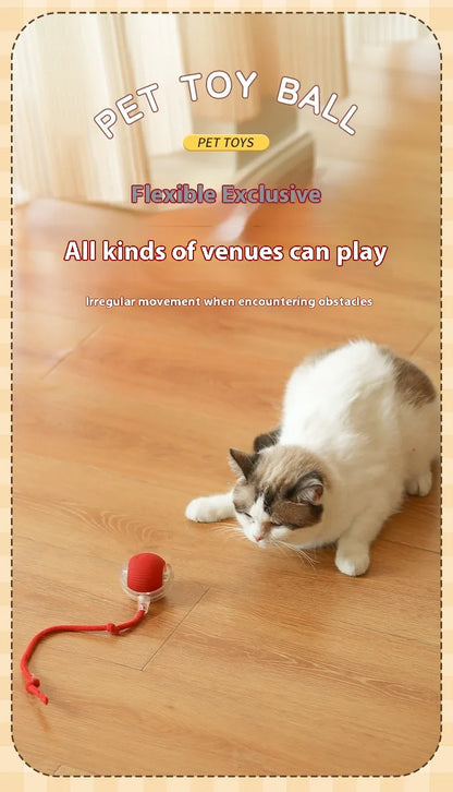 Cat Interactive Ball Toys Automatic Rolling Ball