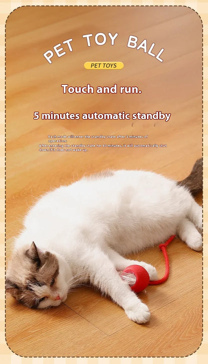 Cat Interactive Ball Toys Automatic Rolling Ball